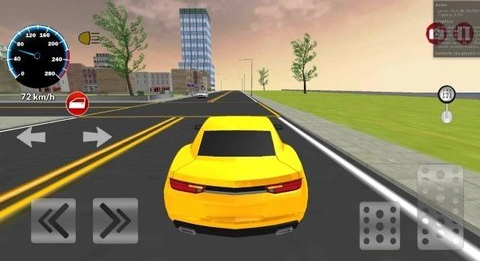 city car driving2