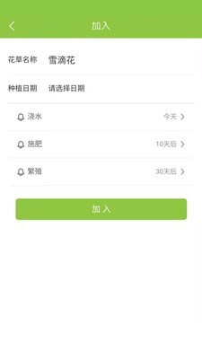 东篱花草3