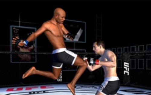 UFC终极格斗冠军23