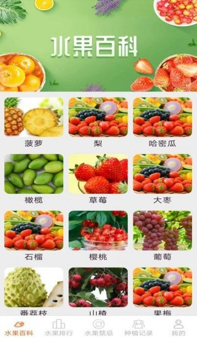 果果多点1