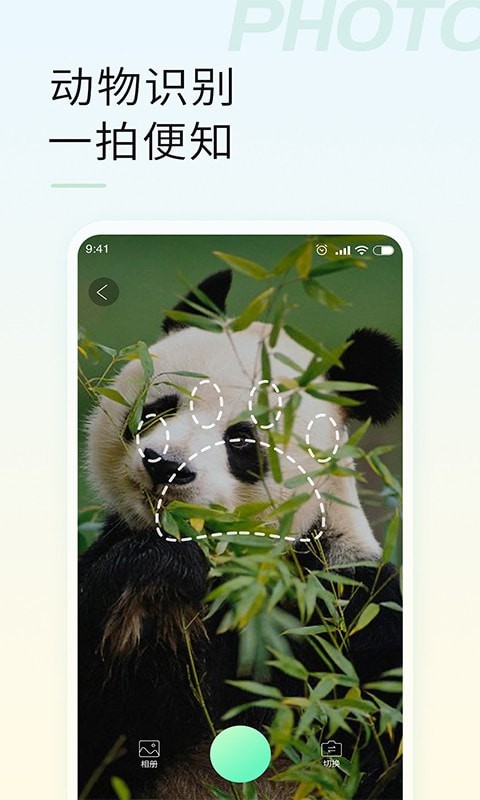 智能拍照识物3