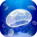 Jellyfish World