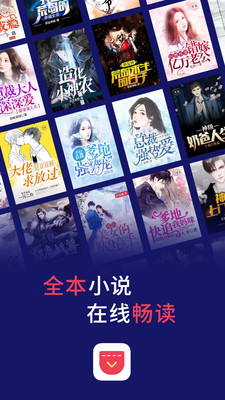 口袋小说1