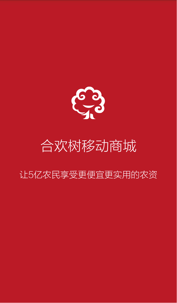 合欢树1