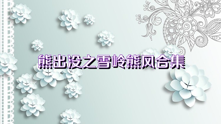 熊出没之雪岭熊风合集