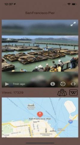 Live Camera Viewer软件1