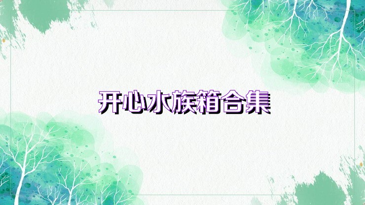 开心水族箱合集