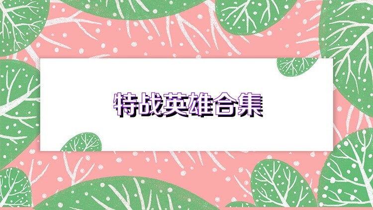 特战英雄合集