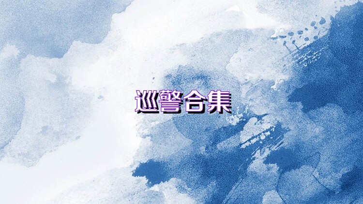 巡警合集