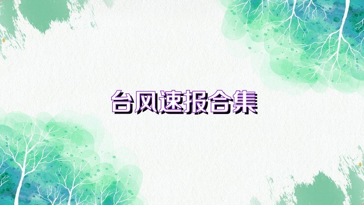 台风速报合集