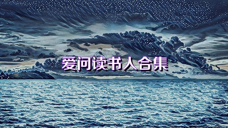 爱问读书人合集