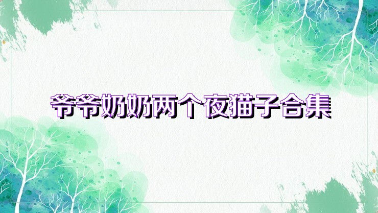 爷爷奶奶两个夜猫子合集