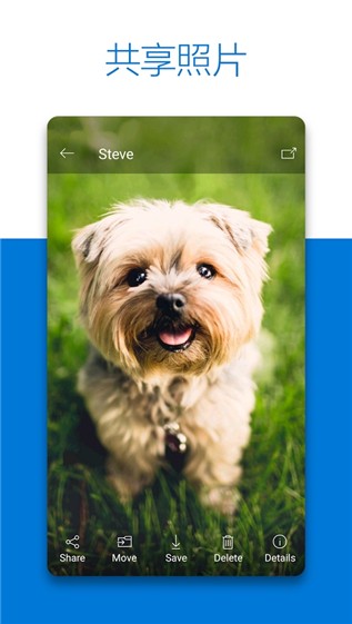 Microsoft OneDrive1