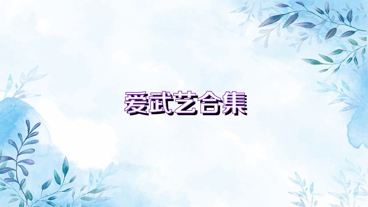 爱武艺合集