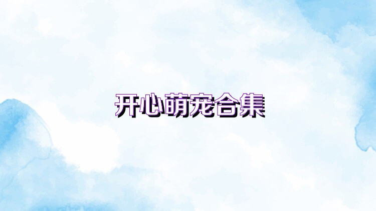 开心萌宠合集