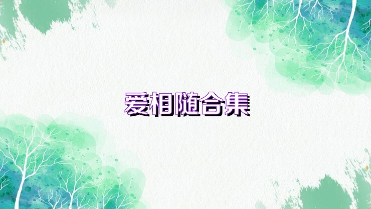 爱相随合集