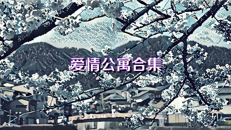 爱情公寓合集