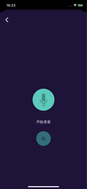 吃鸡国际服变声器4