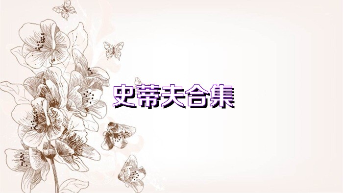 史蒂夫合集