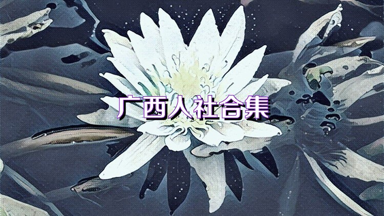 广西人社合集