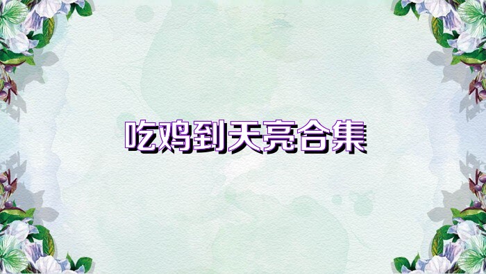 吃鸡到天亮合集