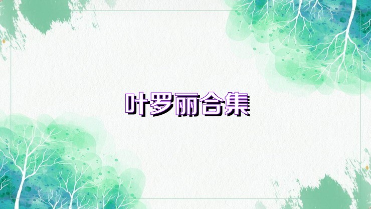 叶罗丽合集