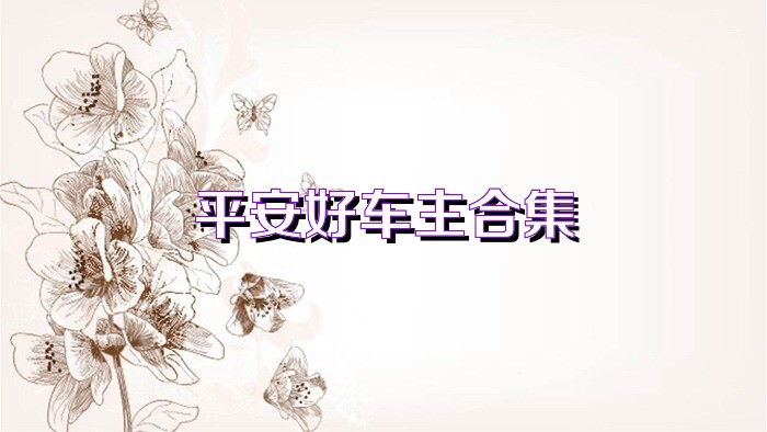 平安好车主合集