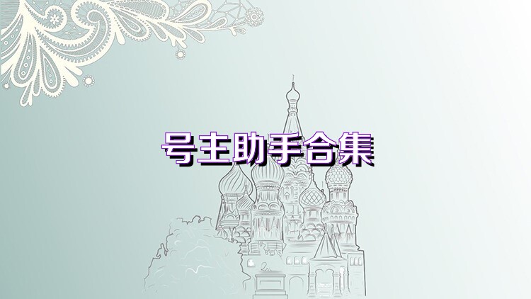 号主助手合集
