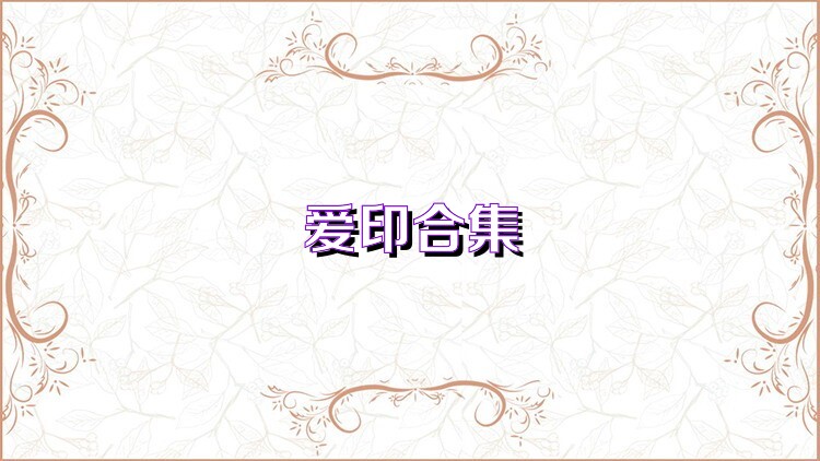 爱印合集
