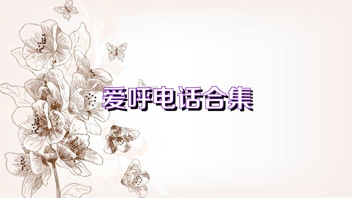 爱呼电话合集