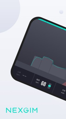 NEXGIM1