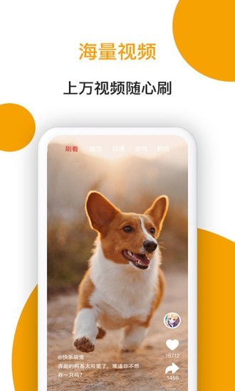 小狗看看1