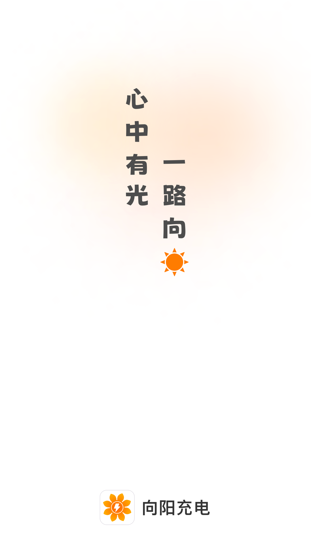 向阳充电1