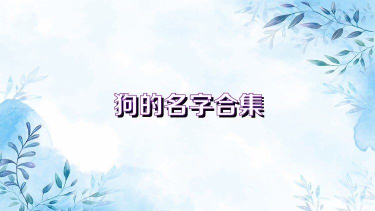 狗的名字合集