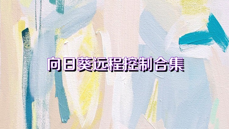 向日葵远程控制合集