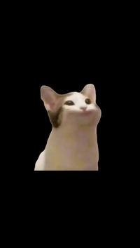 PopCat2