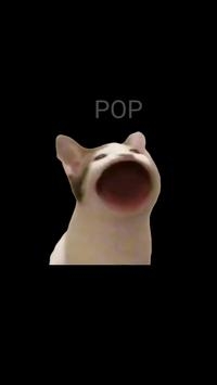 PopCat3