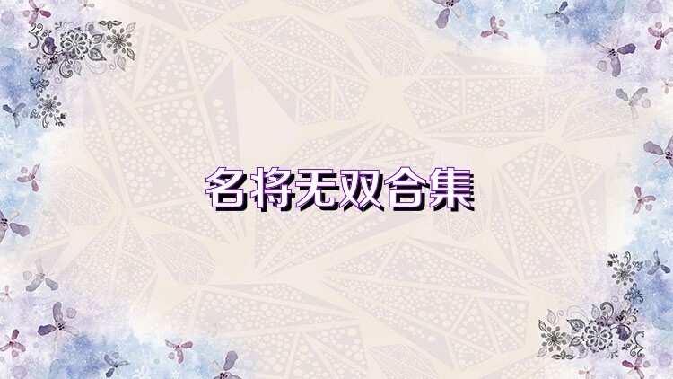 名将无双合集
