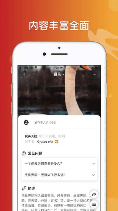 形色识鸟(鸟类识别)2