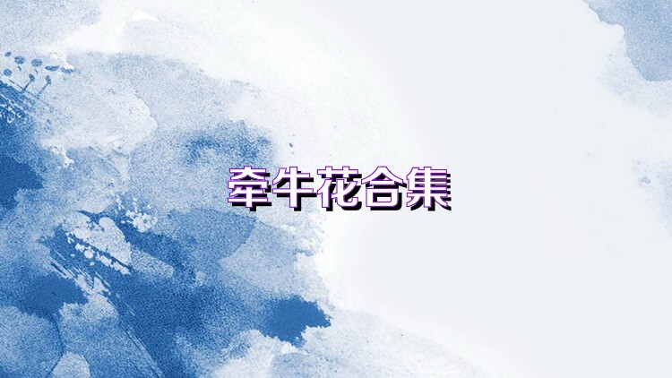 牵牛花合集