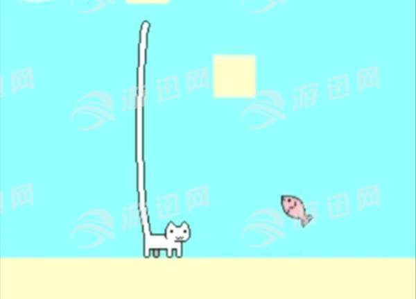 吃不到鱼的猫2