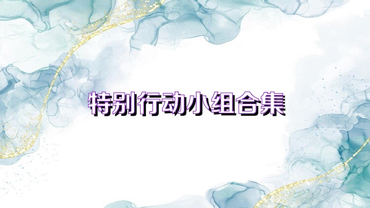 特别行动小组合集