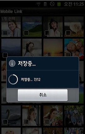mobilelink1