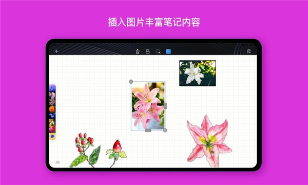 Kilonotes千本笔记1