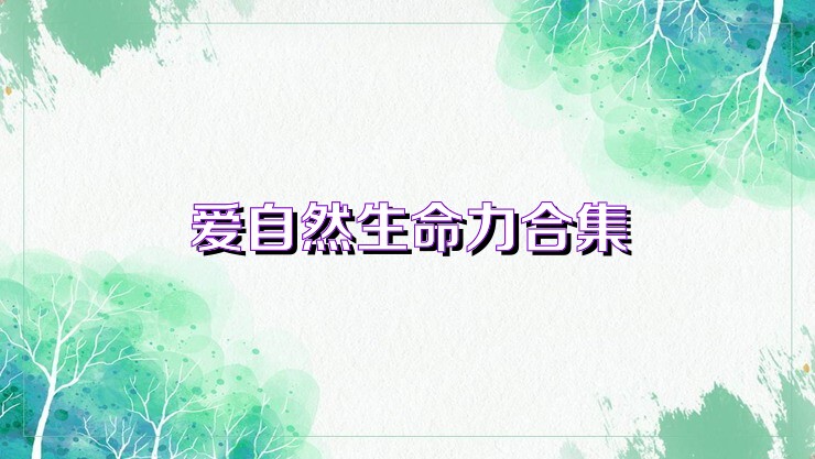爱自然生命力合集