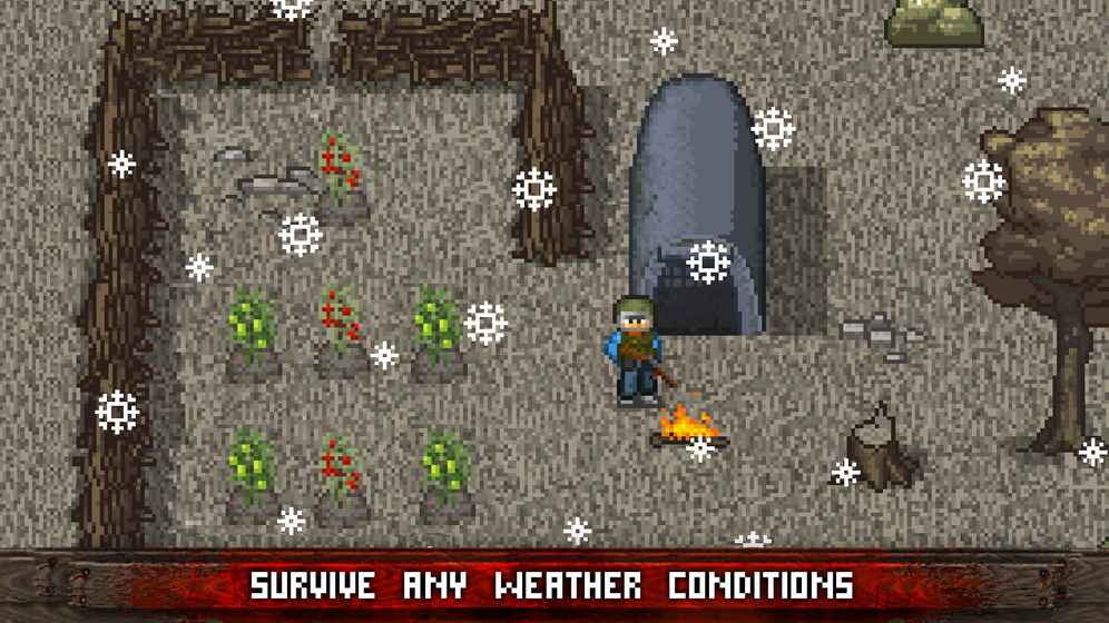 Mini DAYZ2