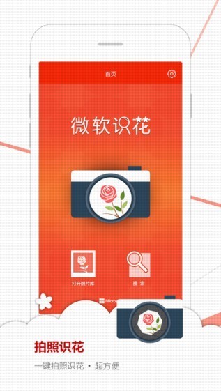 微软识花1