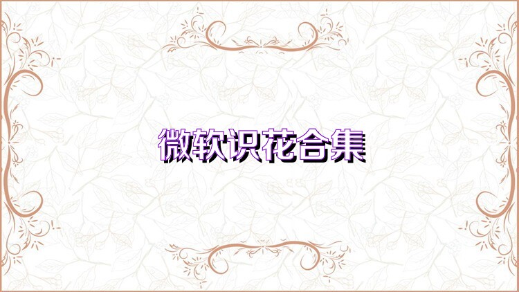 微软识花合集