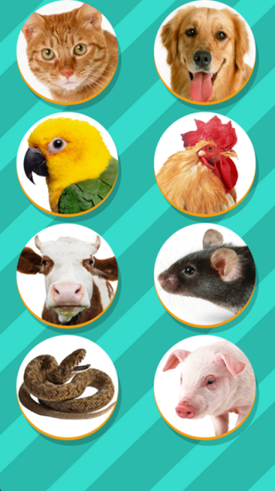 pettranslator1