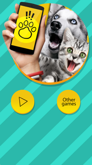 pettranslator2